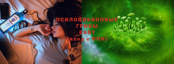 гашик Абаза