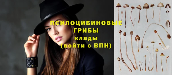 ешки Алзамай