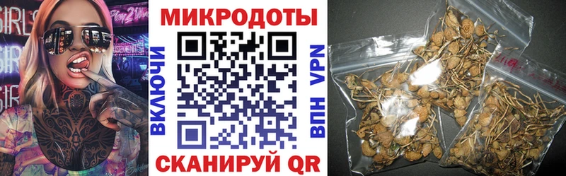 где купить Кочубеевское Галлюциногенные грибы Magic Shrooms